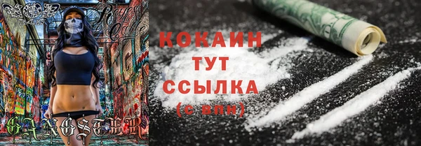 ГАЛЛЮЦИНОГЕННЫЕ ГРИБЫ Осташков