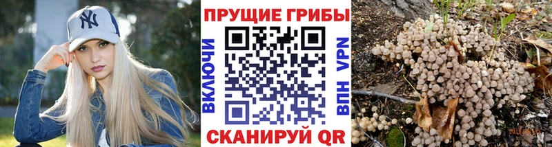 Галлюциногенные грибы ЛСД  Балабаново 