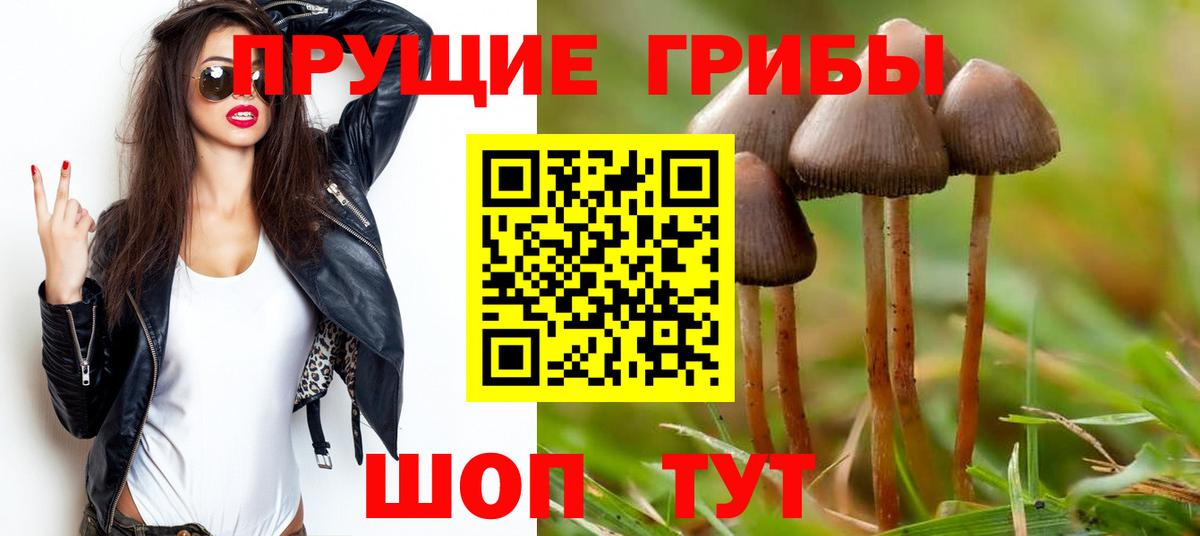 Псилоцибиновые грибы GOLDEN TEACHER Балабаново