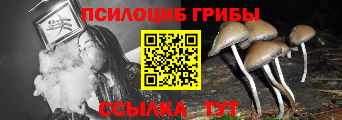 Как найти закладки?  Канабис  Гашиш  Балабаново  Cocaine  APVP  Мефедрон  Вход с VPN  Марихуана 